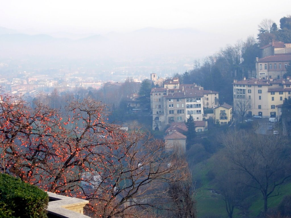 Bergamo